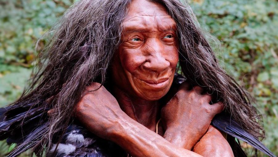 Menneskedyret Homo Sapiens