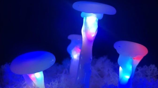 Det kreative klubhus magisk skovbund_2 (16x9).jpg