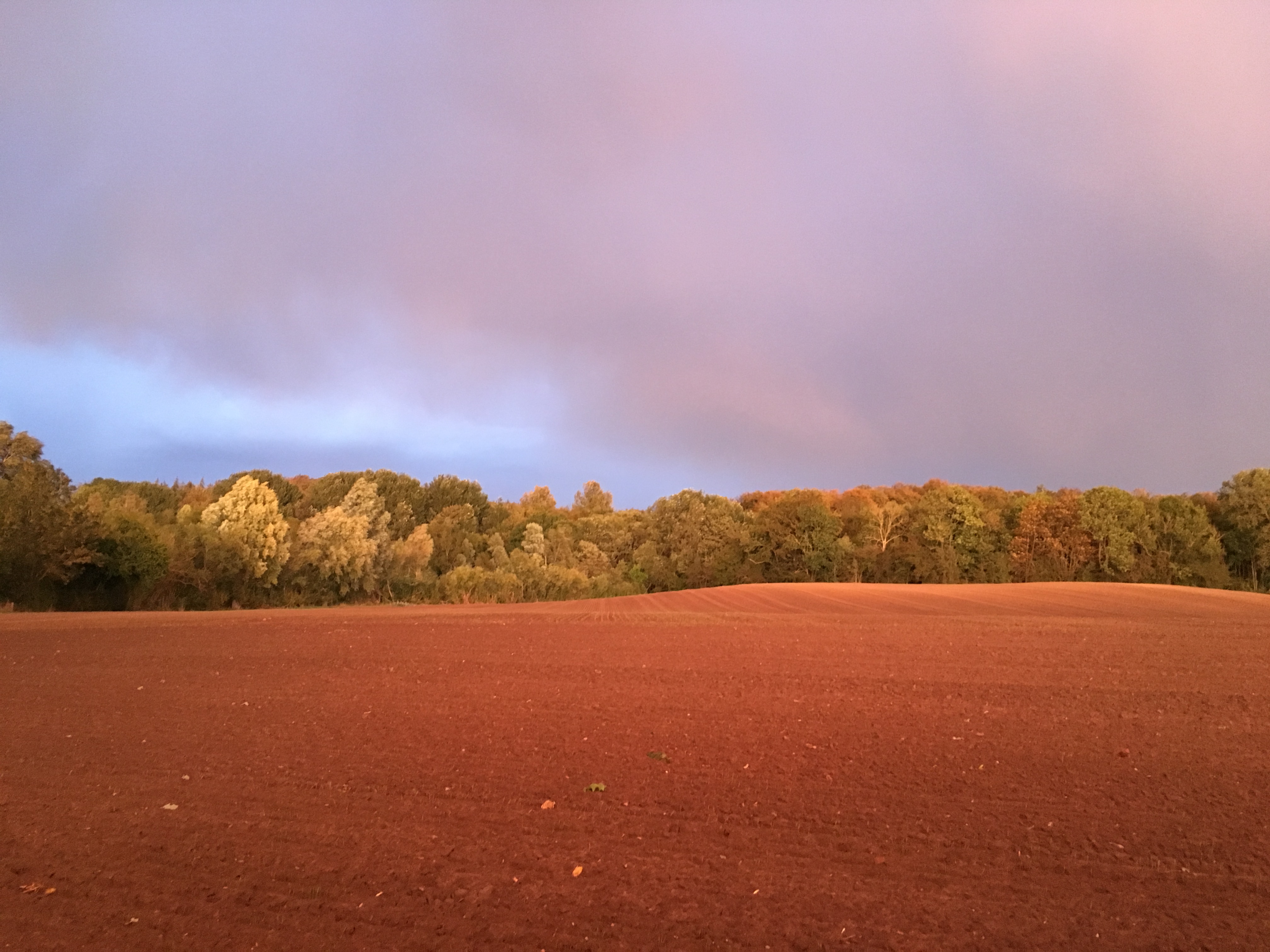 Mark ved Ferslev badet i rødt solnedgangslys, foto Camilla Hultén.JPG