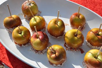 Glaserede æbler serveret af Slotsparkens Friskole til Blå Nat 2015, foto Camilla Hultén
