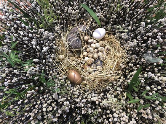 Rede med forskellige æg lavet af blandt andet 2000 grene med gæslinger, foto Camilla Hultén